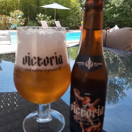 Victoria - D'hotes Avec Table D'hotes-parking Prive Ferme 住宿加早餐酒店 卡尔卡松