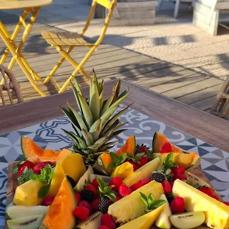 Victoria - D'hotes Avec Table D'hotes-parking Prive Ferme 住宿加早餐酒店 卡尔卡松