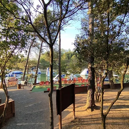 住宿加早餐酒店 Victoria - D'hotes Avec Table D'hotes-parking Prive Ferme 卡尔卡松